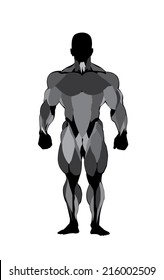 Human anatomy