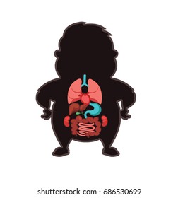 Human anatomy, all human organs