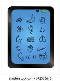 Human anatomy body parts detailed icons set on background plate. Vector illustration.