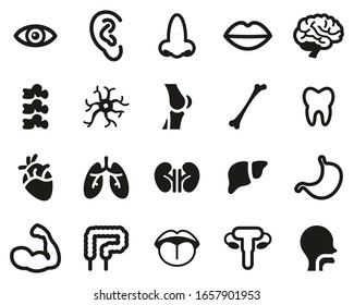 Human Anatomy Or Human Body Parts Icons Black an White Set Big