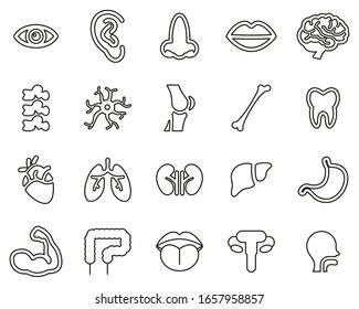 Human Anatomy Or Human Body Parts Icons Black & White Thin Line Set Big