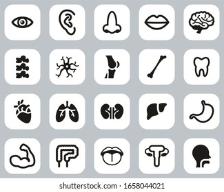 Human Anatomy Or Human Body Parts Icons Black & White Flat Design Set Big