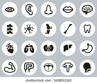 Human Anatomy Or Human Body Parts Icons Black & White Flat Design Circle Set Big