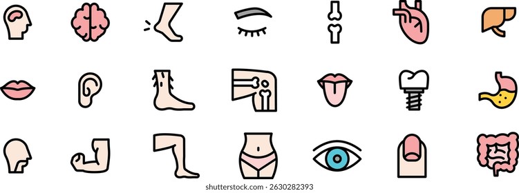 Human Anatomy Body Parts and Organs Icons