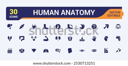Human Anatomy Or Human Body Parts solid Icons set. Related to Filled style organ, hand, Brain, Nose and more. Editable and pixel perfect icons collection. Vector illustration.