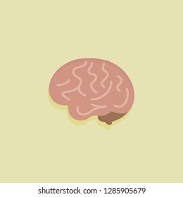 Human Anatomy Body Vector Illustration. Brain Flat Design Eps 10 Editable Vector Illustration.