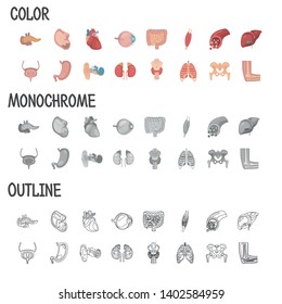 Human anatomy color flat, line and monochrome icons set