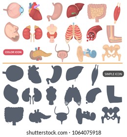 Human anatomy color flat and simple icons set