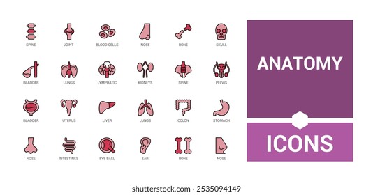 Human Anatomy colorful set of web icons in line style. Contains such icons as anatomical, organs, anatomy, body, bone and more. Editable vector illustration. Icon names are written in English.
