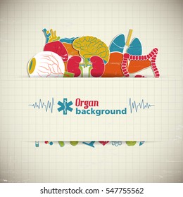 Human anatomy concept with internal organs set vector Illustration