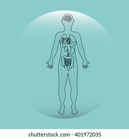 human anatomy design 