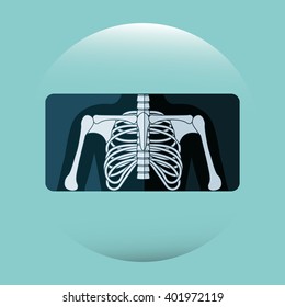 human anatomy design 