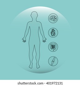 human anatomy design 