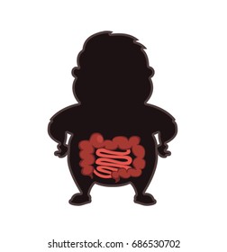 Human anatomy, digestion