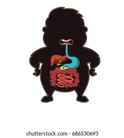 Human anatomy, the digestive tract