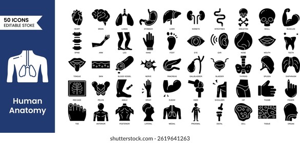 Human Anatomy editable icons set in solid style. Study and structure of human internal organs. brain, lungs, stomach, liver, skeleton and more. Vector illustration