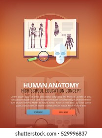 Human anatomy. Education and science vertical layout concepts. Flat modern style