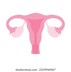 Anatomía humana Sistema reproductivo femenino. Esquema de localización de órganos uterus, cervix, ovario, icono de tubo falópico. Ilustración vectorial.