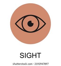 Anatomía humana ícono de ojo plano, ilustración de órgano de salud visual vectorial, signo de parte facial.