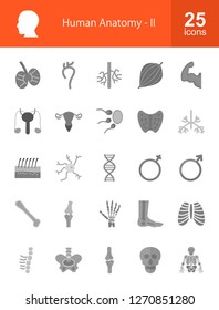 Human Anatomy Flat Greyscale Icons