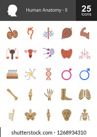 Human Anatomy Flat Icons