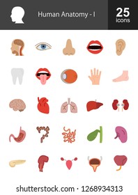 Human Anatomy Flat Icons