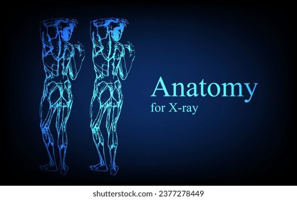 Human anatomy in front on x ray view. Anatomy human body connection, Medical, educational or science banner on futuristic blue background, Vector hand drawn illustration