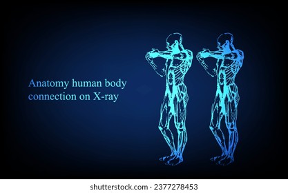 Human anatomy in front on x ray view. Anatomy human body connection, Medical, educational or science banner on futuristic blue background, Vector hand drawn illustration