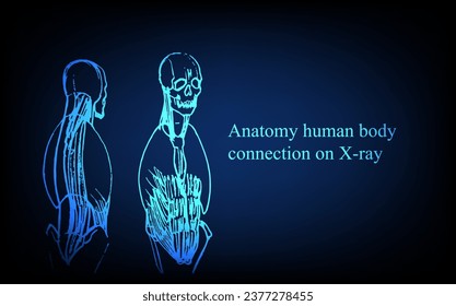 Anatomía humana delante en rayos X. Anatomía de la conexión corporal humana, Banner médico, educativo o científico sobre fondo azul futurista, ilustración dibujada a mano vectorial