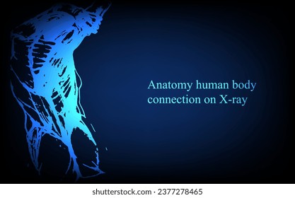Anatomía humana delante en rayos X. Anatomía de la conexión corporal humana, Banner médico, educativo o científico sobre fondo azul futurista, ilustración dibujada a mano vectorial