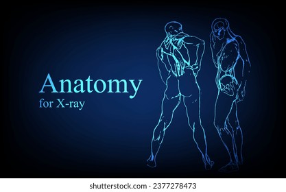 Human anatomy in front on x ray view. Anatomy human body connection, Medical, educational or science banner on futuristic blue background, Vector hand drawn illustration