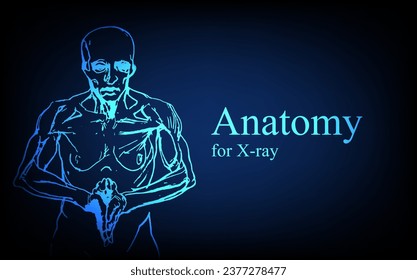 Menschliche Anatomie vor der Röntgenaufnahme. Anatomie Verbindung mit dem menschlichen Körper, Medizin-, Bildungs- oder Wissenschaftsbanner auf futuristisch blauem Hintergrund, handgezeichnet Vektorgrafik