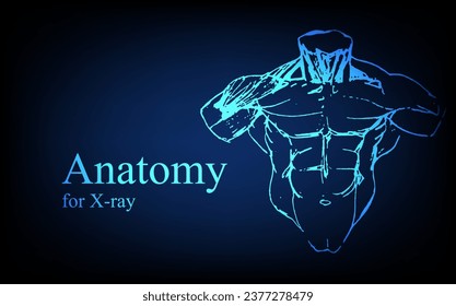 Human anatomy in front on x ray view. Anatomy human body connection, Medical, educational or science banner on futuristic blue background, Vector hand drawn illustration