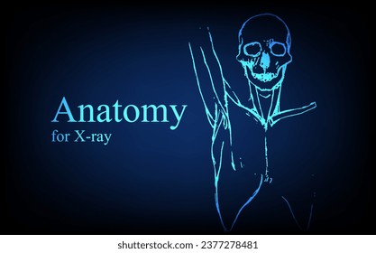 Human anatomy in front on x ray view. Anatomy human body connection, Medical, educational or science banner on futuristic blue background, Vector hand drawn illustration