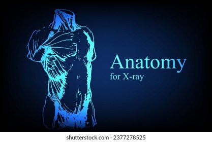 Human anatomy in front on x ray view. Anatomy human body connection, Medical, educational or science banner on futuristic blue background, Vector hand drawn illustration