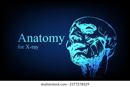 Human anatomy in front on x ray view. Anatomy human body connection, Medical, educational or science banner on futuristic blue background, Vector hand drawn illustration
