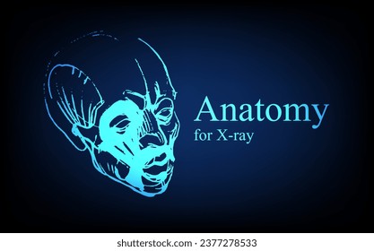 Anatomía humana delante en rayos X. Anatomía de la conexión corporal humana, Banner médico, educativo o científico sobre fondo azul futurista, ilustración dibujada a mano vectorial
