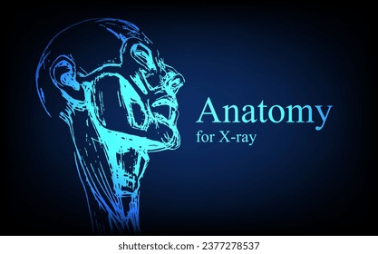 Human anatomy in front on x ray view. Anatomy human body connection, Medical, educational or science banner on futuristic blue background, Vector hand drawn illustration