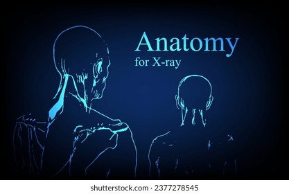 Human anatomy in front on x ray view. Anatomy human body connection, Medical, educational or science banner on futuristic blue background, Vector hand drawn illustration