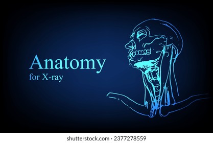 Human anatomy in front on x ray view. Anatomy human body connection, Medical, educational or science banner on futuristic blue background, Vector hand drawn illustration