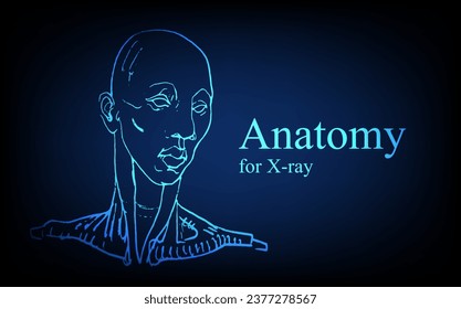 Anatomía humana delante en rayos X. Anatomía de la conexión corporal humana, Banner médico, educativo o científico sobre fondo azul futurista, ilustración dibujada a mano vectorial