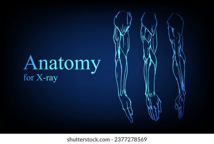 Human anatomy in front on x ray view. Anatomy human body connection, Medical, educational or science banner on futuristic blue background, Vector hand drawn illustration