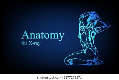 Human anatomy in front on x ray view. Anatomy human body connection, Medical, educational or science banner on futuristic blue background, Vector hand drawn illustration