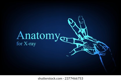 Human anatomy in front on x ray view. Anatomy human body connection, Medical, educational or science banner on futuristic blue background, Vector hand drawn illustration