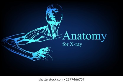 Human anatomy in front on x ray view. Anatomy human body connection, Medical, educational or science banner on futuristic blue background, Vector hand drawn illustration