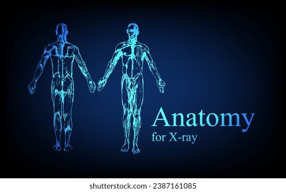 Human anatomy in front on x ray view. Anatomy human body connection, Medical, educational or science banner on futuristic blue background, Vector hand drawn illustration
