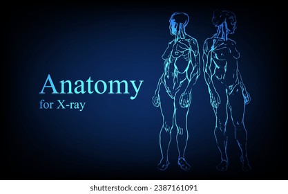 Human anatomy in front on x ray view. Anatomy human body connection, Medical, educational or science banner on futuristic blue background, Vector hand drawn illustration