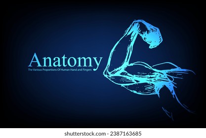 Anatomía humana delante en rayos X. Anatomía de la conexión del cuerpo humano, Las diversas proporciones de mano y dedos humanos, banner educativo o científico sobre fondo azul futurista, mano vectora dibujada en