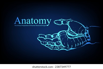 Human anatomy in front on x ray view. Anatomy human body connection, The Various Proportions Of Human Hand and Fingers, educational or science banner on futuristic blue background, Vector hand drawn i