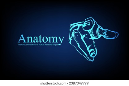 Human anatomy in front on x ray view. Anatomy human body connection, The Various Proportions Of Human Hand and Fingers, educational or science banner on futuristic blue background, Vector hand drawn i